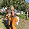 IMG 9068.JPG